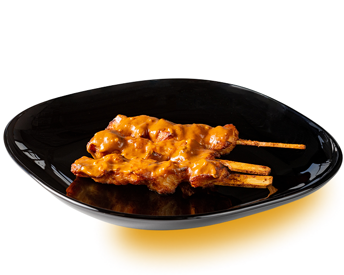 Kipsaté (Pindasaus) - 5 stuks